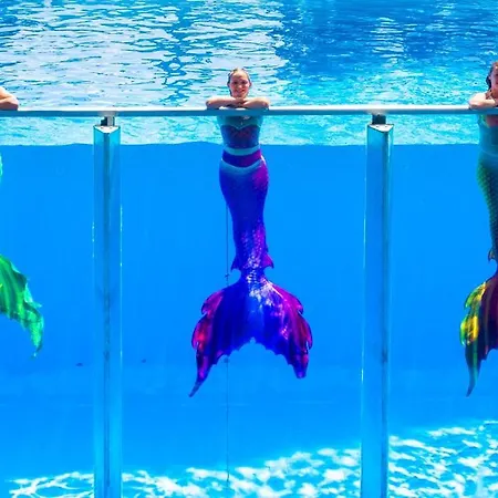 Daima Biz - Dolusu Aquapark Access Otel Kemer